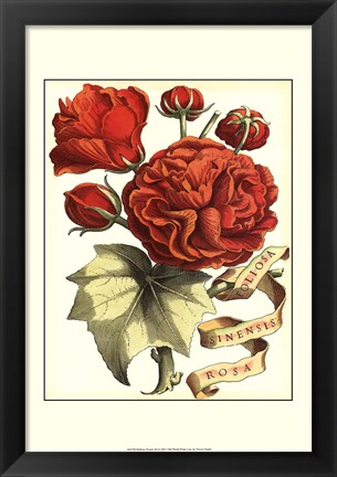 Framed Ribbon Florals III Print