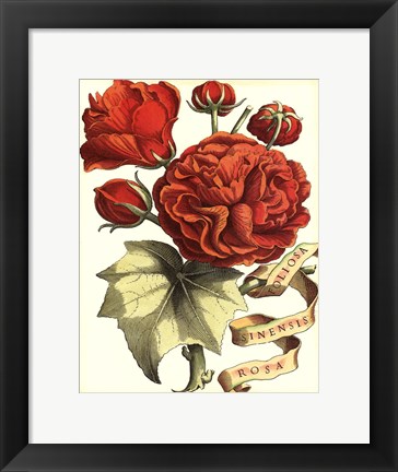 Framed Ribbon Florals III Print