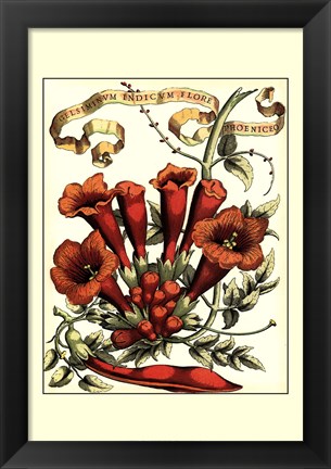 Framed Ribbon Florals IV Print