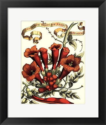 Framed Ribbon Florals IV Print