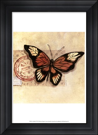 Framed Le Papillon III Print