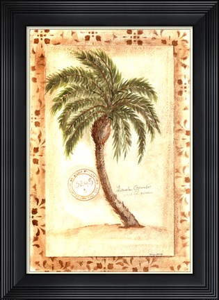 Framed Licuala Grandis Palm Print