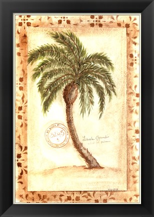 Framed Licuala Grandis Palm Print