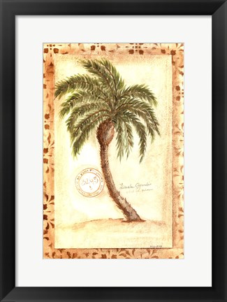 Framed Licuala Grandis Palm Print