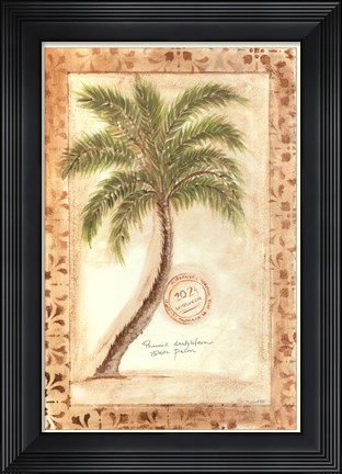 Framed Phoenix Date Palm Print