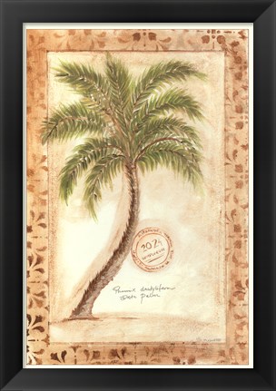 Framed Phoenix Date Palm Print