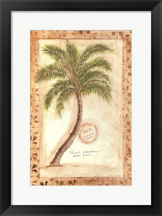 Framed Phoenix Date Palm Print