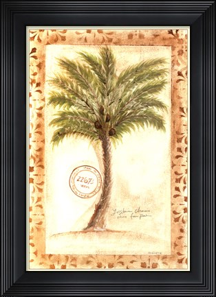 Framed Fan Palm Print
