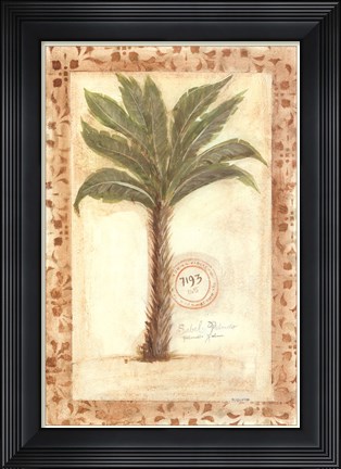 Framed Palmetto Palm Print