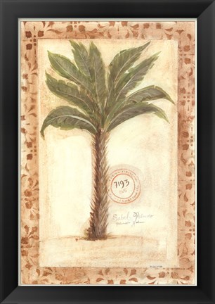Framed Palmetto Palm Print