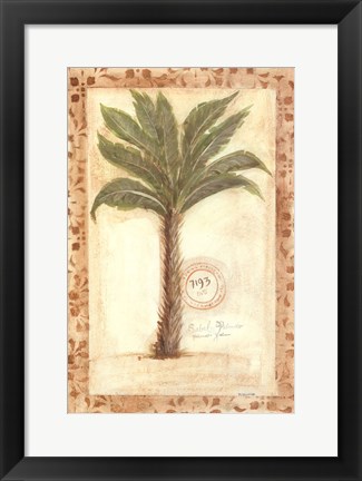 Framed Palmetto Palm Print