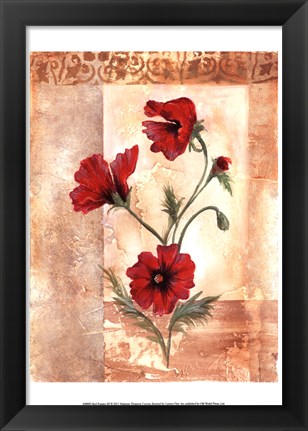 Framed Red Poppies III Print