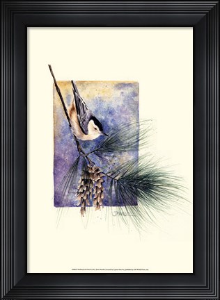 Framed Nuthatch and Pine Print
