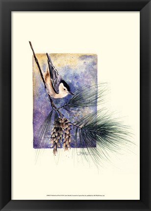 Framed Nuthatch and Pine Print