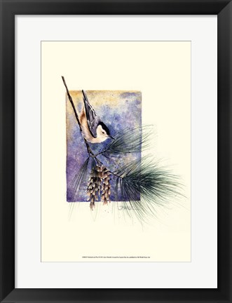 Framed Nuthatch and Pine Print