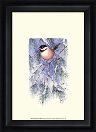 Framed Chickadee in White Pine Print