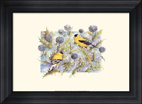 Framed Goldfinches Print