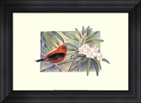 Framed Scarlet Tanager Print