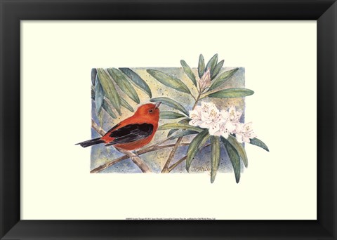 Framed Scarlet Tanager Print