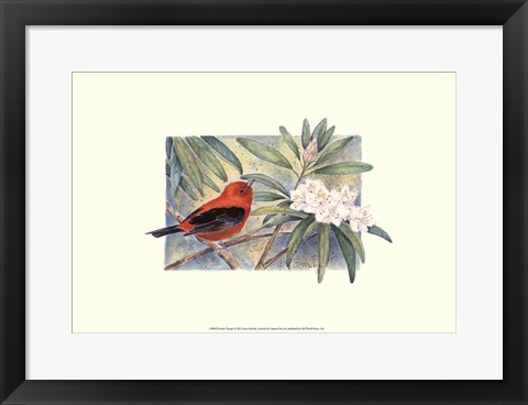 Framed Scarlet Tanager Print