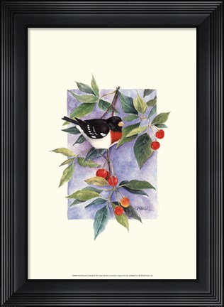 Framed Red-Breasted Grosbeak Print