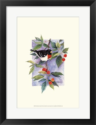 Framed Red-Breasted Grosbeak Print