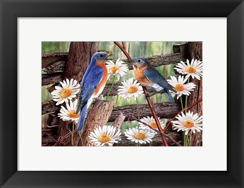 Framed Serenade in Blue Print