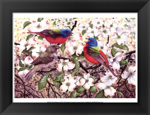 Framed Painted Bunting Print