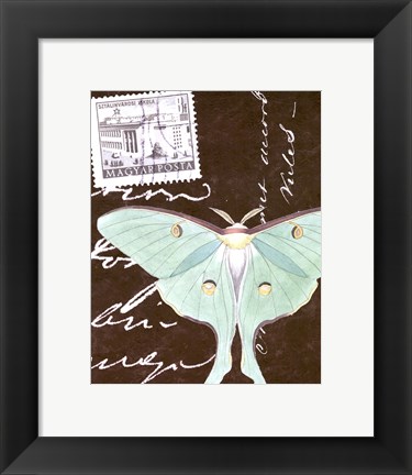 Framed Le Papillon Script I Print