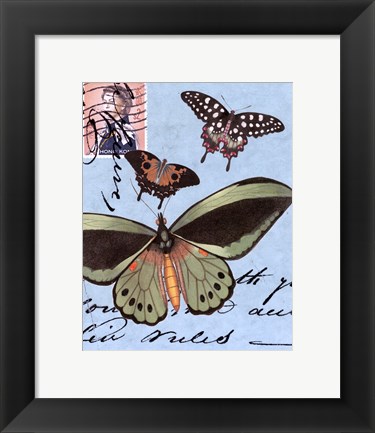 Framed Le Papillon Script VI Print