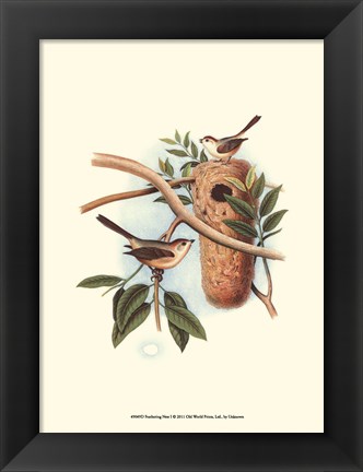 Framed Feathering Nest I Print