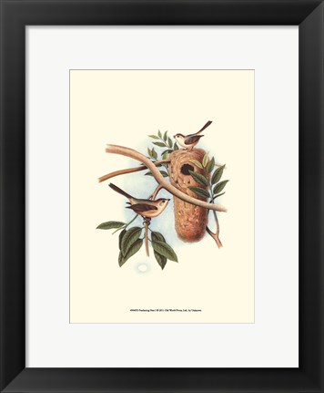 Framed Feathering Nest I Print