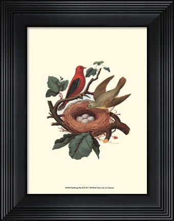Framed Feathering Nest II Print