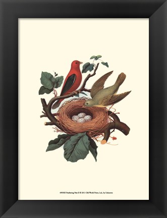 Framed Feathering Nest II Print