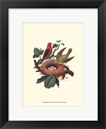 Framed Feathering Nest II Print
