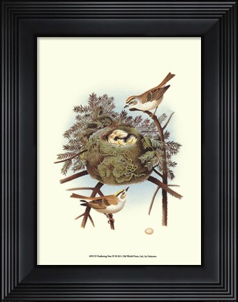 Framed Feathering Nest III Print
