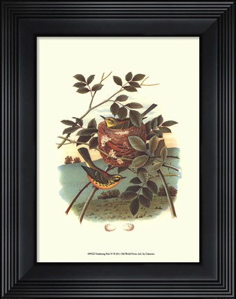 Framed Feathering Nest IV Print