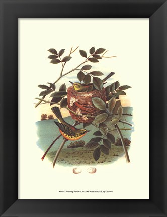 Framed Feathering Nest IV Print