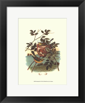 Framed Feathering Nest IV Print