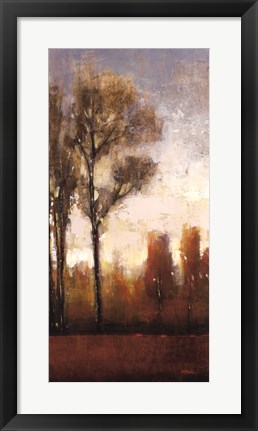 Framed Tall Trees II Print