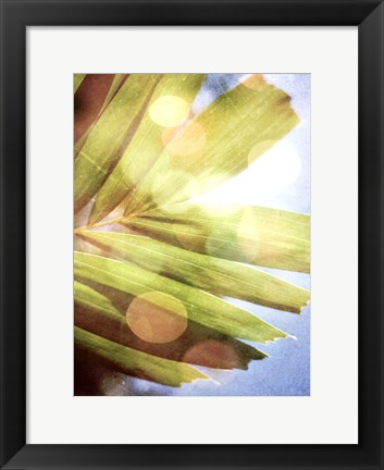 Framed Tropical Daydream I Print