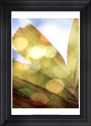 Framed Tropical Daydream II Print