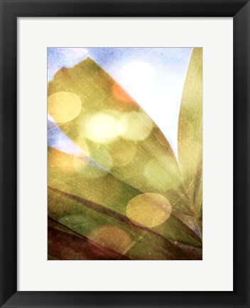 Framed Tropical Daydream II Print