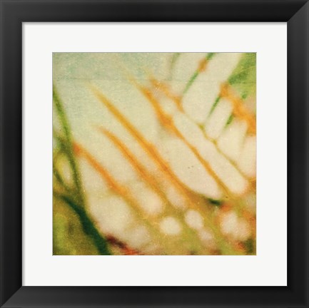 Framed Tropical Texture I Print