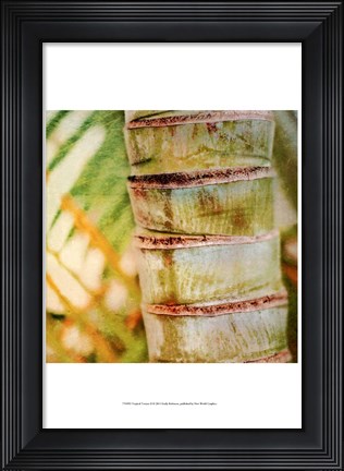 Framed Tropical Texture II Print