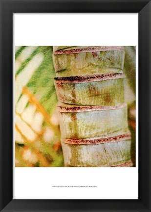 Framed Tropical Texture II Print