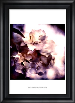 Framed Purple Dusk I Print