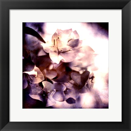 Framed Purple Dusk I Print