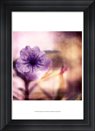 Framed Purple Tranquility I Print