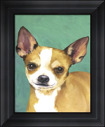 Framed Dog Portrait-Chihuahua Print